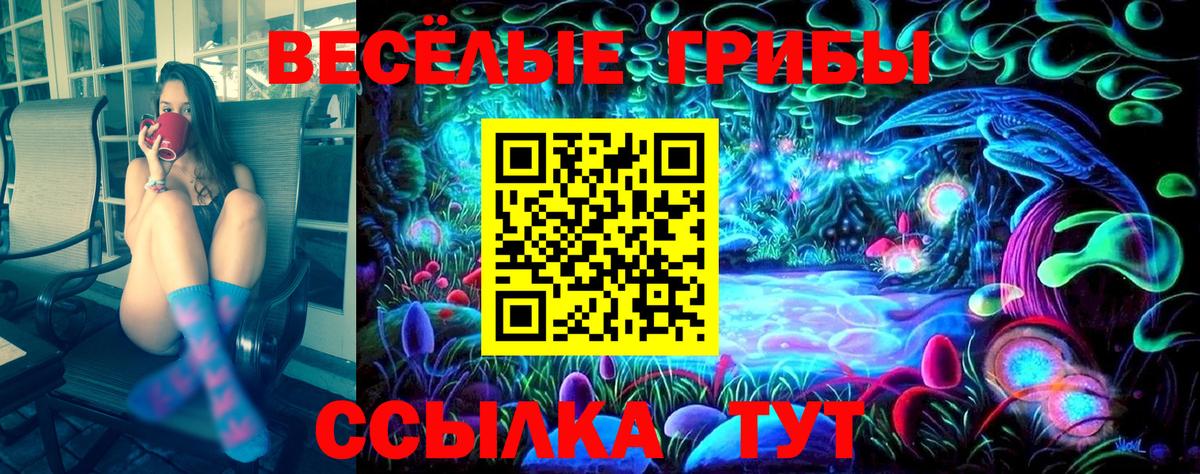 Янаул  Галлюциногенные грибы Cubensis  где можно купить наркотик  Вход с VPN 